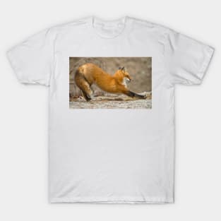 Stretching T-Shirt